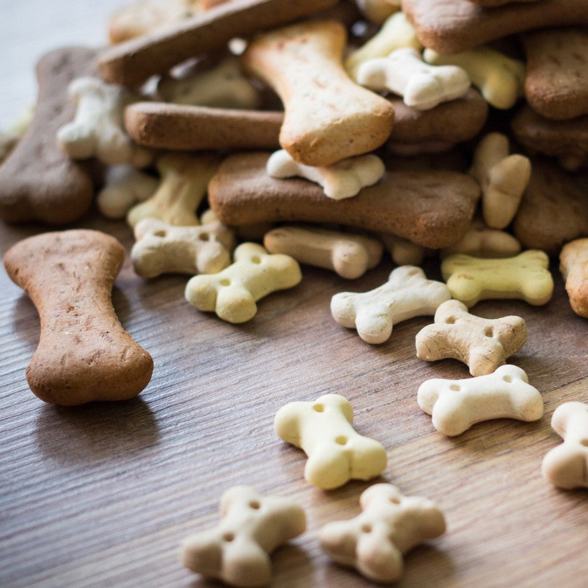 Dog, cat, bird, seed snack, treat stand up pouch